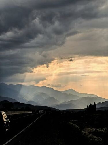 Ильи Шипулина