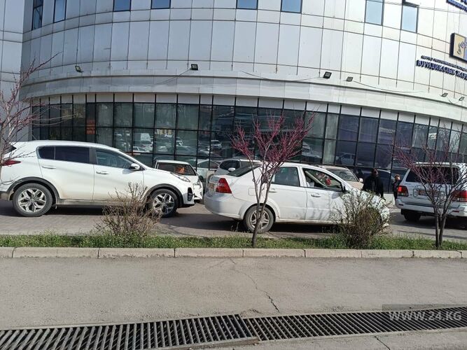 читателя 24.kg