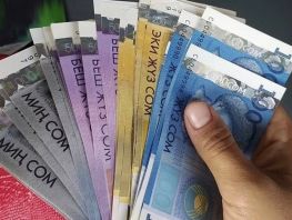 Выплаты по&nbsp;беременности в&nbsp;КР: кто имеет на&nbsp;них право и&nbsp;какие нужны документы
