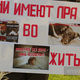 Фото ИА «24.kg». Плакаты с призывами прекратить жестокое обращение с животными
