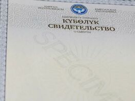 Бишкекчанин жалуется на&nbsp;отсутствие бланков свидетельств о&nbsp;смерти в&nbsp;ЦОНе
