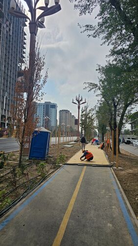 из социальных сетей