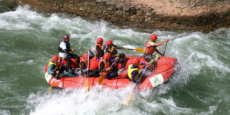 из интернета