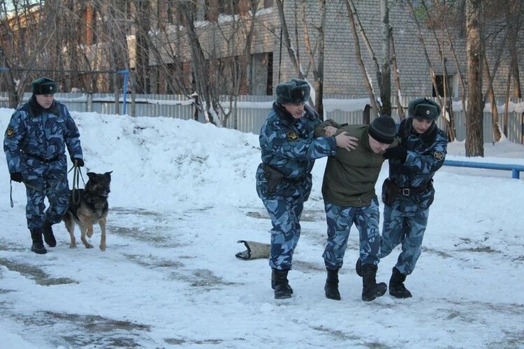 иллюстративное