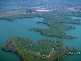 Затопленный лес под Бишкеком: сказка на&nbsp;воде, которая исчезает через 1,5 месяца
