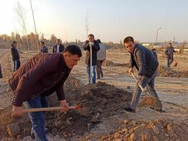 Быйыл Кыргызстанда 9&nbsp;миллион бак -дарак отургузуу пландалууда
