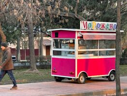 Реконструкция? В&nbsp;Бишкеке бульвар Эркиндик снова заполонили уродливые комки
