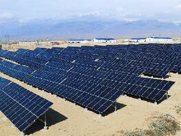 Цветы Чон-Арыка и&nbsp;солнечная станция. Фото и&nbsp;видео читателей 24.kg
