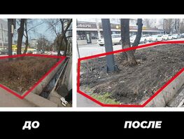 В&nbsp;Бишкеке выкапывают кустарники вдоль дорог. Жители не&nbsp;понимают зачем
