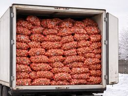 56&nbsp;тонн лука из&nbsp;Казахстана не&nbsp;допущены на&nbsp;территорию Кыргызстана
