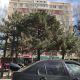Фото пресс-центра ГКНБ