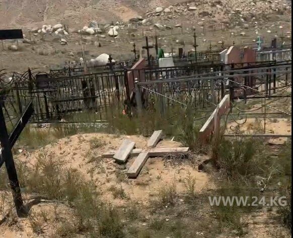 из социальных сетей