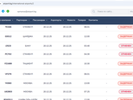  Heavy fog prevents flights from landing at Manas airport