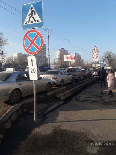 читателя 24.kg