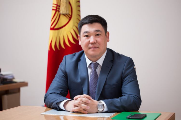 из интернета