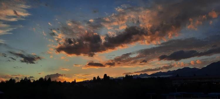 Матвея Рыскаля