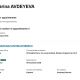Фото из интернета. Карина Авдеева является директором четырех компаний