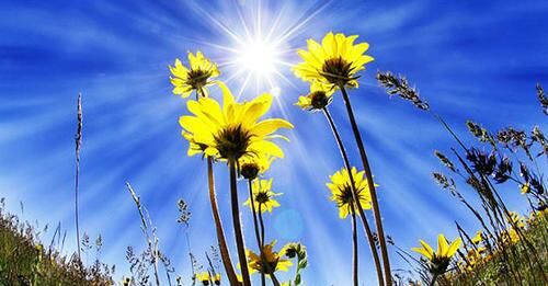 Интернеттен алынды