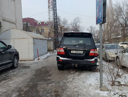 Чудаки парковки. В&nbsp;Бишкеке машины оставляют под запрещающими знаками
