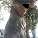 Фото 24.kg. В Аламединском районе обнаружен труп неизвестного мужчины 