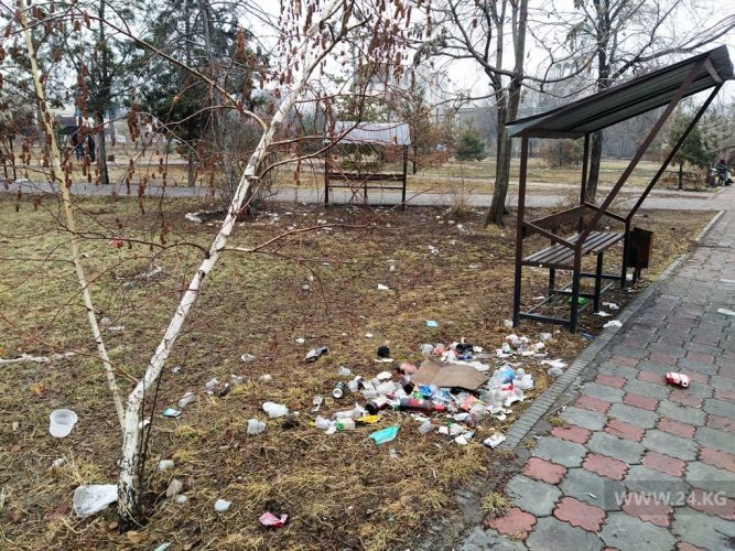 читателя 24.kg