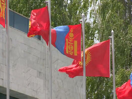Kyrgyzstan plans to export 18 tons of coarse wool to Mongolia