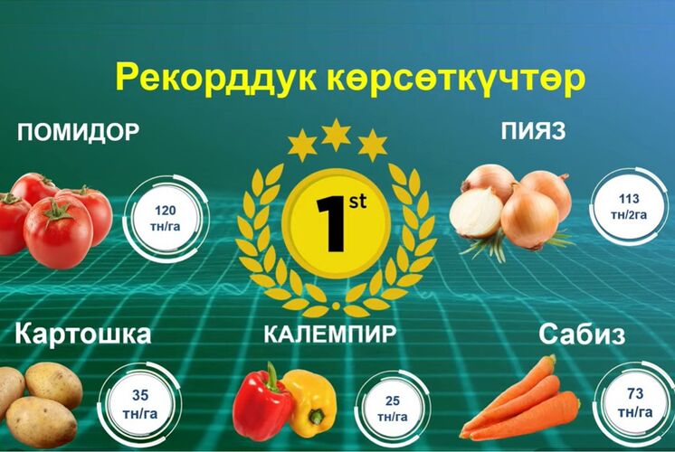 из презентации зампредседателя кабмина Бакыта Торобаева